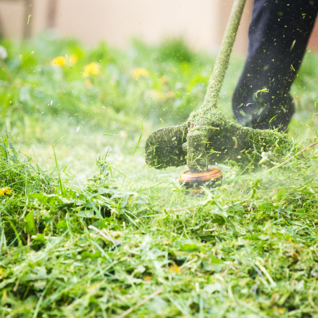 Lawn Maintenance