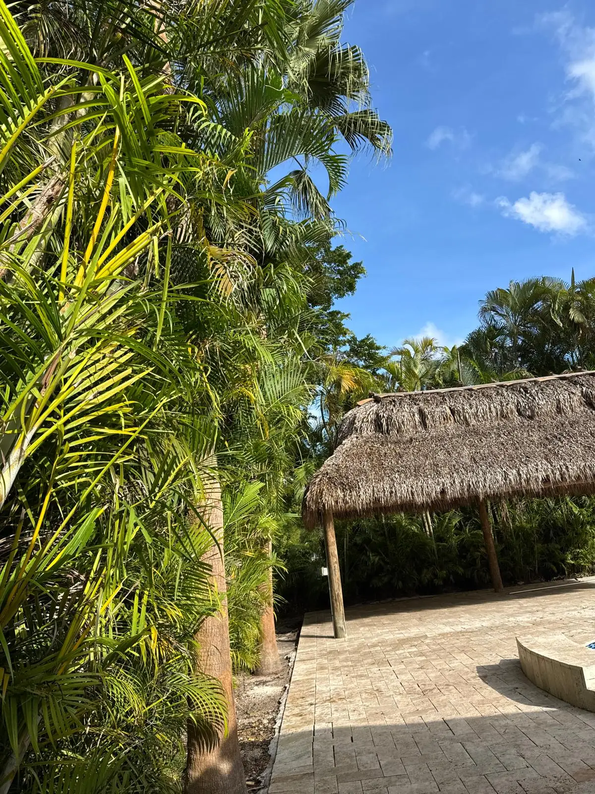 Marcos Diaz Landscaping Inc
