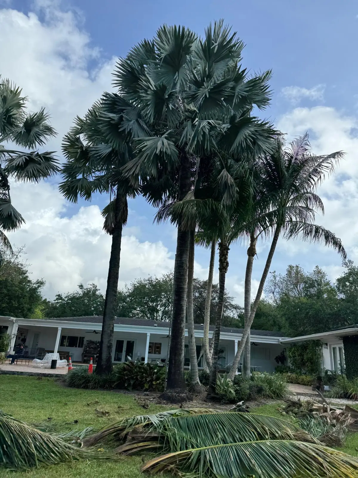 Why choose Marcos Diaz Landscaping Inc