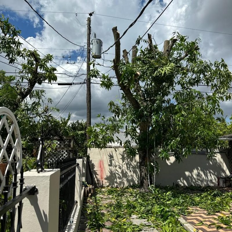 Marcos Diaz Landscaping (1)