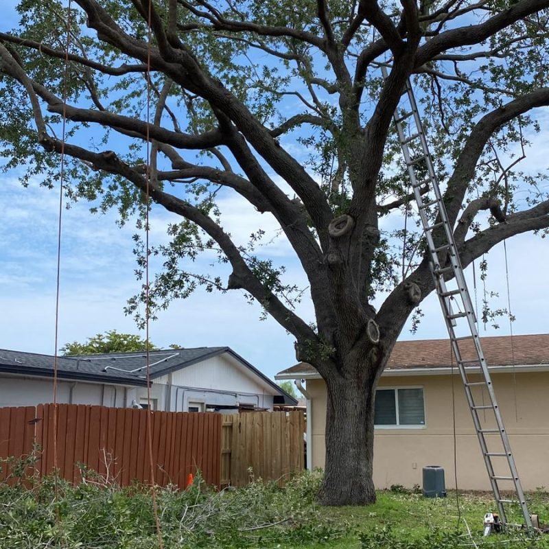 Marcos Diaz Landscaping (27)