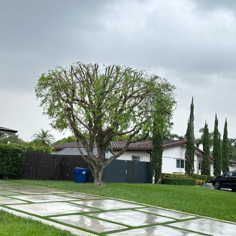 Marcos Diaz Landscaping (31)