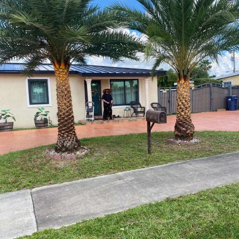 Marcos Diaz Landscaping (39)